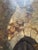 Large 19th-Century French Village Oil Painting by Jean-Georges Pasquet, After Dameron For Sale - Image 15 of 18