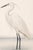 Coastal Heron & Egret Diptych, Neutral Shorebird Art Print Set, 20" X 30" For Sale - Image 9 of 10