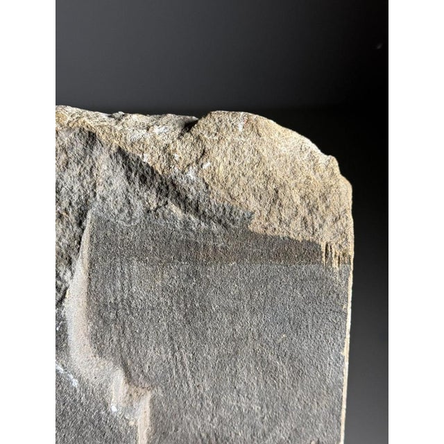 Carved Stone Fragment Medusa, 18th Century For Sale - Image 12 of 14