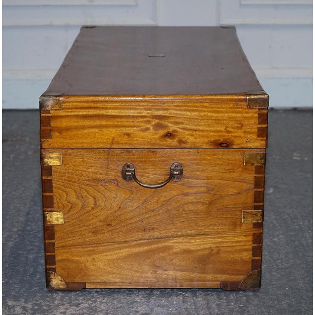 Antique English Camphor Wood Storage Trunk, 19th Century For Sale - Image 12 of 18