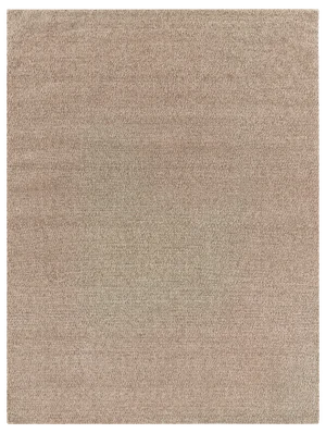 Sanz Flatweave Wool Beige Rug - 6'x9'