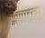 Michele Alassio, Venice 1954, Palazzo Ducale, 2000, Photography For Sale - Image 13 of 13