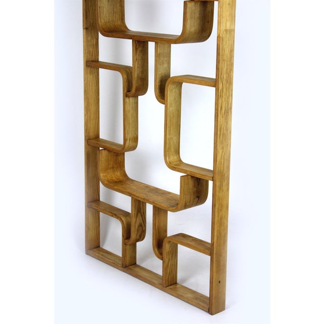 Brown Mid-Century Modern Room Divider by Ludvik Volak for Drevopodnik Holesov, 1960s For Sale - Image 8 of 18