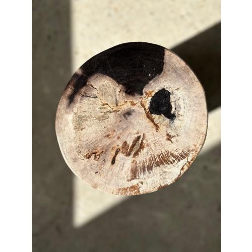 Side Table in Multicolored Petrified Wood with White Top For Sale - Image 3 of 18