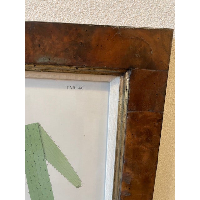Late 20th Century Late 20th Century Botanical Print, Framed For Sale - Image 5 of 5