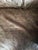 Modern Crate and Barrel Leather Sleeper Sofa For Sale - Image 3 of 12