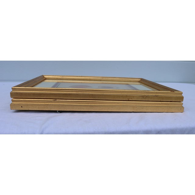 Antique Department of Agriculture Framed Botanical Apple and Peach Lithographs-a Pair For Sale - Image 12 of 15