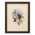 1990s Framed Print, Blue-Tailed Mango Hummingbird or Lampornis Viridis (Plate 78) Hill House Edition Reproduction Print After John Gould For Sale
