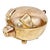 Vintage Brass Piggy Box For Sale