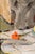 1950s Still Life Painting by Clarence Hinkle (1890-1960) For Sale - Image 5 of 14