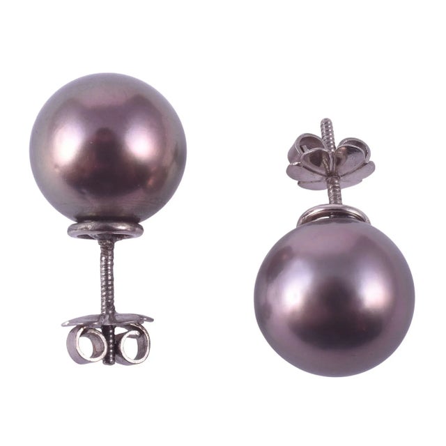 Contemporary Tahitian Pearl Stud Earrings - 2 Pieces For Sale - Image 3 of 4