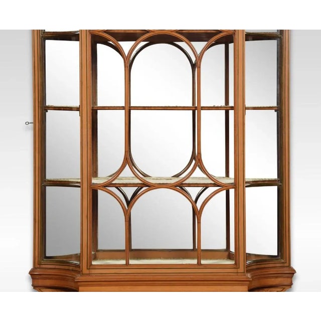 Wood Large Painted Satinwood Wall Hanging Display Cabinet For Sale - Image 7 of 8