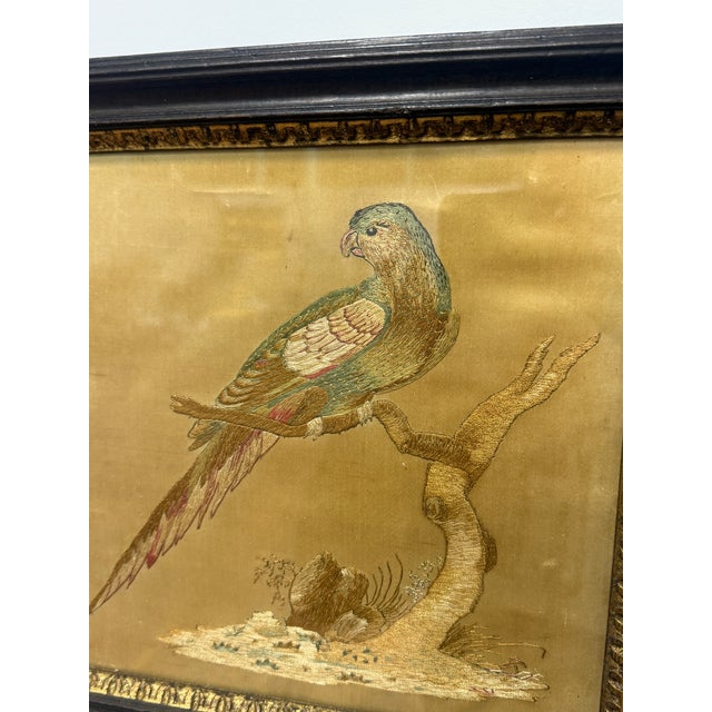 19th Century Continental Silk Embroidery of a Resting Parrot For Sale - Image 4 of 8