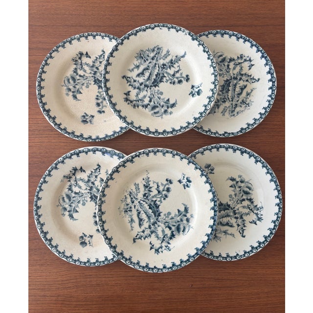 Vintage Dessert Plates with Chardon Pattern from Gien, 1940s, Set of 6 For Sale - Image 10 of 10