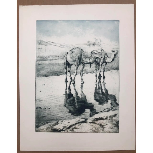 Pal Fried (1893-1976) Orientalist etching on paper of two camels in an oasis. Signed in plate lower left.