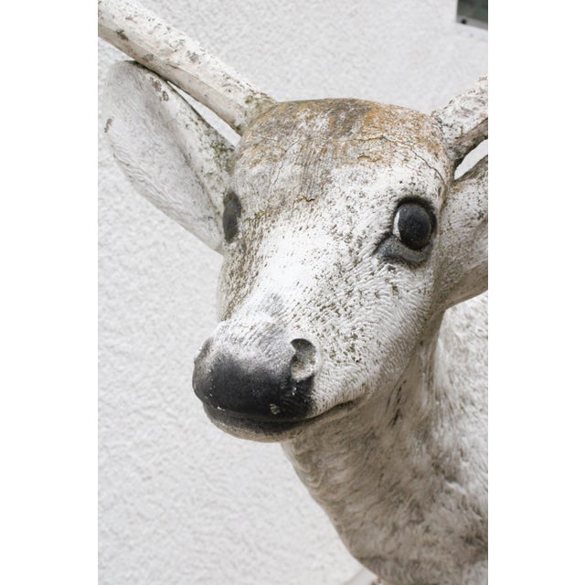Majestic Life-Size Cast Concrete Stag Deer Sculpture, Rustic Garden Accent For Sale - Image 4 of 8