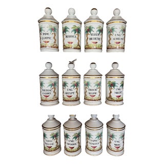 Set of 12 Late 19th Century Continental Porcelain Apothecary Jars For Sale