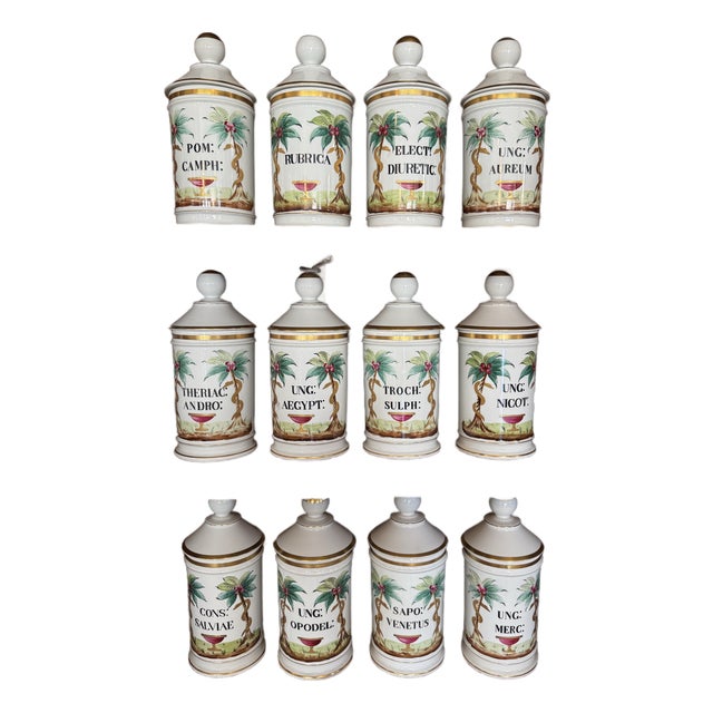 Set of 12 Late 19th Century Continental Porcelain Apothecary Jars For Sale