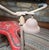 Red Gendron Wheel Company, "Pioneer" Tricycle For Sale - Image 8 of 15