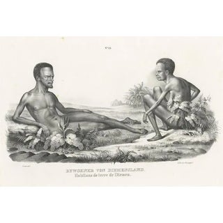 Inhabitants of Van Diemens Land, 1845, Paper For Sale