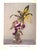 "Winter & Spring Flowers Arranged by Constance Spry" 1953 Spry, Constance For Sale - Image 10 of 13
