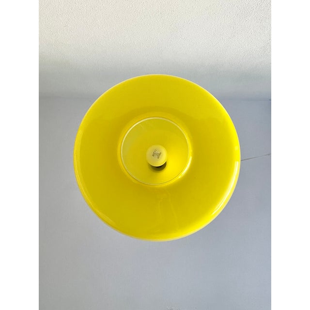 Mid-Century L114 Murano Ceiling Lamp by Oreste Vistosi and Peter Peltzel for Vetreria Vistosi, 1960s For Sale - Image 11 of 18