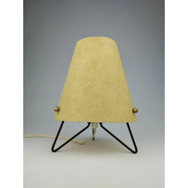 Mid-Century Table Lamp with Fiberglass Shade, 1950 For Sale - Image 10 of 10