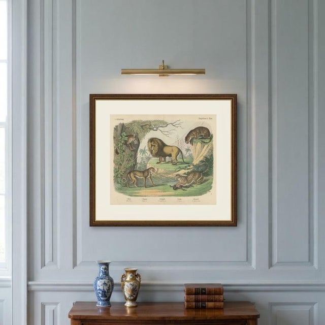 Antique Lion, Jaguar, Leopard and Cheetah Print by Kolb, 1890 For Sale - Image 10 of 12