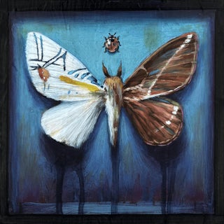 Hybrid Moth by Stacy D'Aguiar | Acrylic on wood depicting a moth with intricate patterns. For Sale