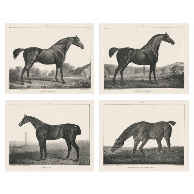 After Chalon, Equestrian Illustrations, Lithographs, 1840, Set of 4 For Sale - Image 7 of 12