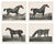 After Chalon, Equestrian Illustrations, Lithographs, 1840, Set of 4 For Sale - Image 7 of 12