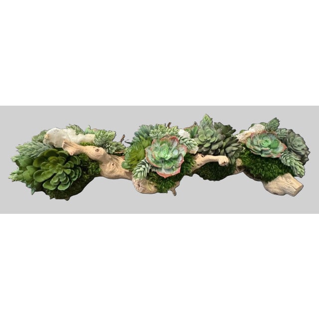 Custom One-of-a-Kind Succulent & Geode Arrangement on Grapevine Branch 24" W X 7" D X 6" H For Sale - Image 4 of 9