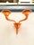 Murano Contemporary Translucent Orange Murano Glass Wall Sconce in Deco’ Style For Sale - Image 4 of 4