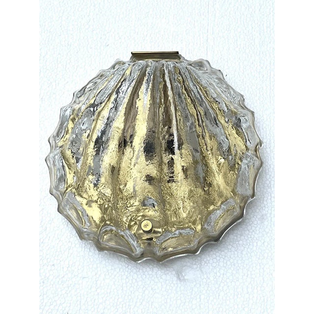 Gold Murano Glass Shell Wall Lamp from Limburg, 1960s For Sale - Image 8 of 9