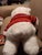 1986 Pristine in Package White Christmas Large Bloomie Bear For Sale - Image 11 of 12