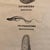 Mid 20th Century Mid 20th Century Anatomical Protozoa Organisms Rollup Chart by New York Scientific Supply Co. For Sale - Image 5 of 12