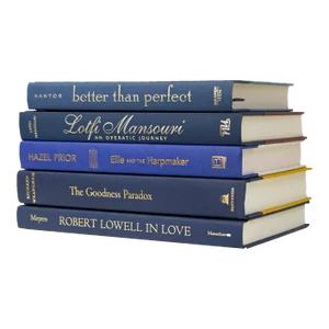 Decorative Books - Denim & Gold Book Stack - 5 Blue Books