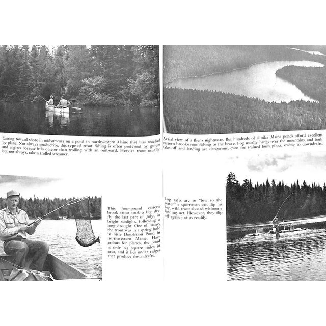 "All About Brook Trout From Maine to California" 1954 Elliot, Bob For Sale In New York - Image 6 of 9