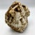 Contemporary Vintage Resin Sculpted Head Reproduction of Ancient Greece For Sale - Image 3 of 6
