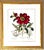 Large Botanical Original Lithographs Vibrant Color in Gold Gilt Frames Set of 2 Red Floral For Sale - Image 12 of 13