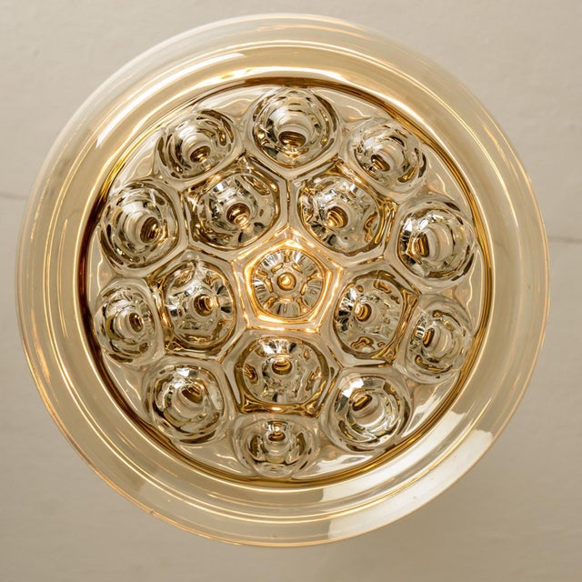 Smoked Brown Glass and Brass Pendant Lights attributed to Peill and Putzler, 1960s, Set of 2 For Sale - Image 13 of 18