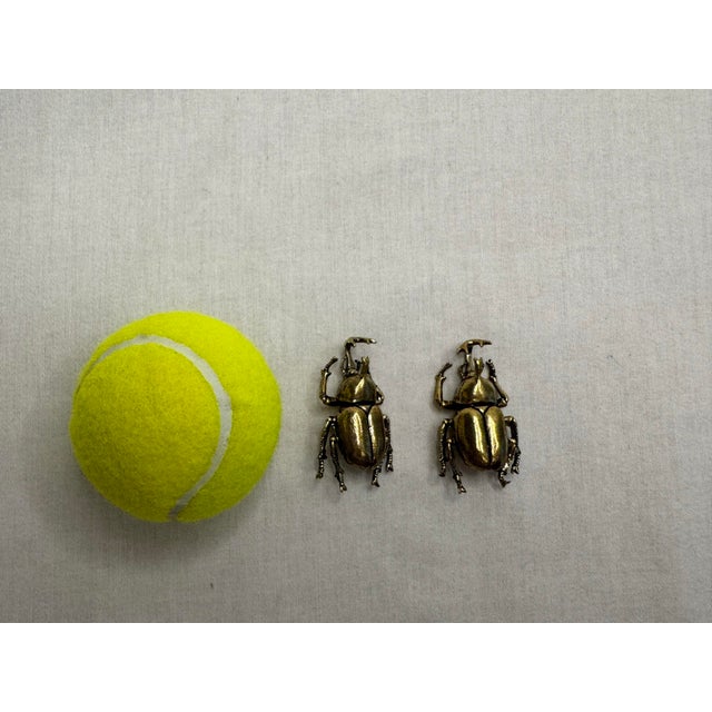 Pair of Vintage Victorian Revival Solid Brass Beetle Cabinet Knobs Hardware For Sale - Image 12 of 12
