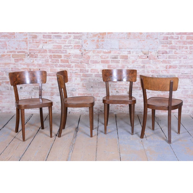 Art Deco Chairs in Beech and Walnut attributed to Thonet, Czech, 1940s, Set of 4 For Sale - Image 13 of 14
