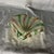 Glass 1960s Vintage Avem Italian Murano Art Glass Gold Flecks Bowl W/ White Latticino, Pink/Green Ribbons For Sale - Image 7 of 8