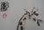 Laszlo Tibay, La girafe enjouée, Ink & Wash Drawing For Sale - Image 4 of 6
