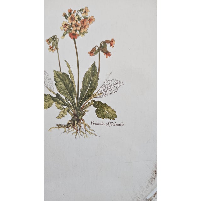 Florentine Wooden Tray, 1960s, Set of 2 For Sale - Image 3 of 10