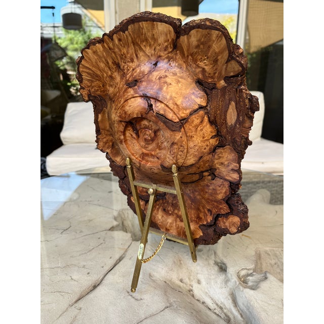 Chocolate Organic Modern Hand-Turned Natural Edge Sugar Maple Burl Centerpiece Bowl - 12.5x9.5 Inches For Sale - Image 8 of 12