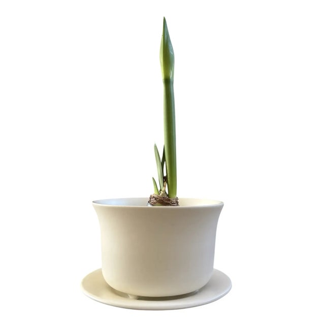 American Elsa Peretti for Tiffany & Co Orchid Pot For Sale - Image 3 of 11