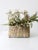 This vintage handwoven basket features a charming square base, a gently curved handle, and a beautiful creamy-white...