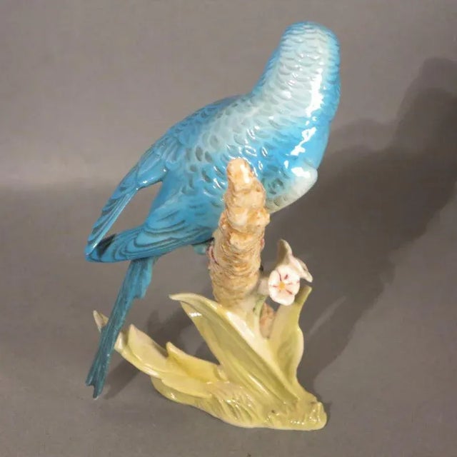Porcelain Figure of Budgie by Göbel, 1970s For Sale - Image 4 of 6